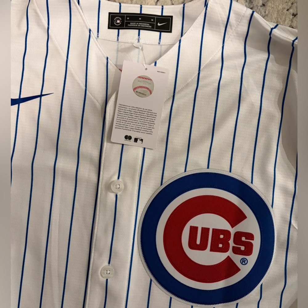 Nike Authentic Pinstripe Chicago Cubs Greg Maddux #31 Baseball Jersey Men’s Sz M - Picture 4 of 7